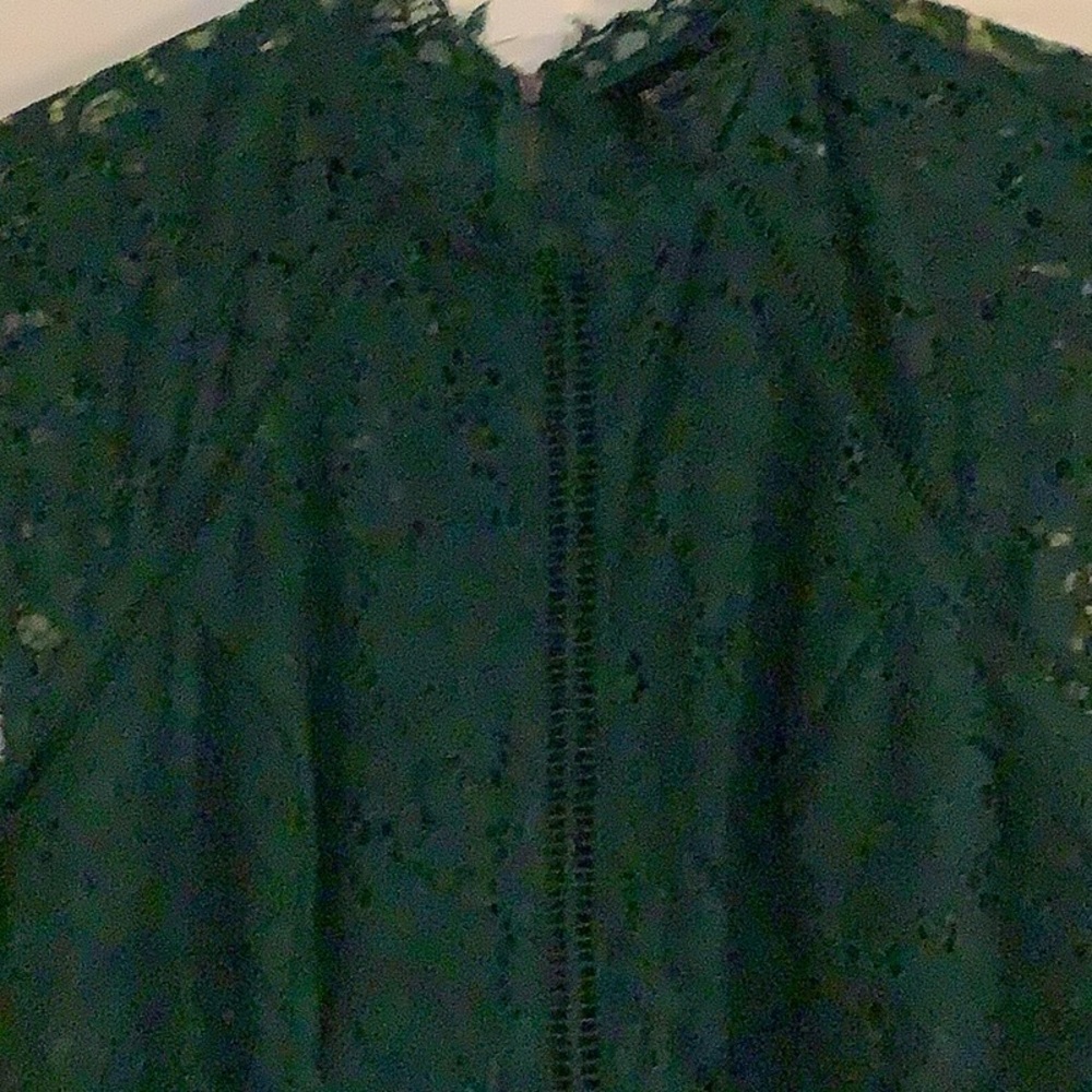 Bardot lace panel dress in hunter/emerald green EUC - Picture 8 of 16